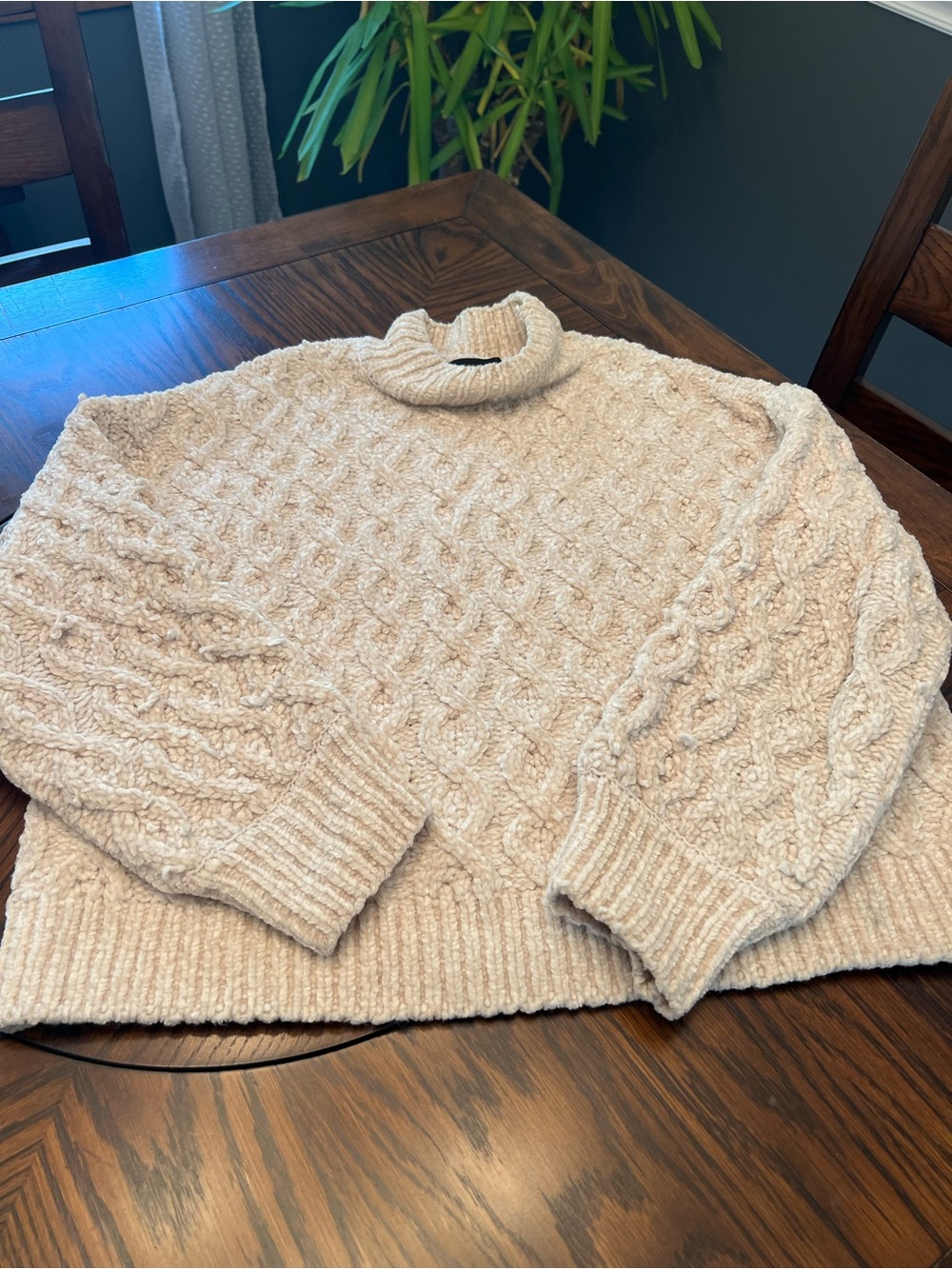 Sanctuary Women’s M Cream Solid Chunky Knit Mock Neck Pullover Sweater # 754
